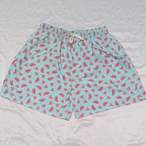 Watermelon Print Men's XL Swim Trunks With Lining Summer Beach Pool Party